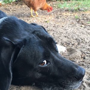 Meet your Posher, Jillian